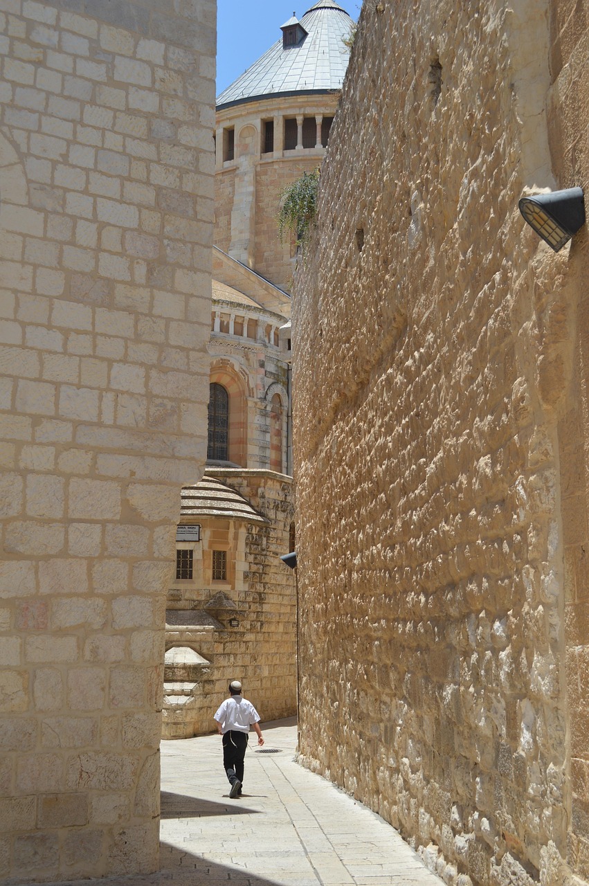 jerusalem, jewish, rose flower, rose, alley, holy